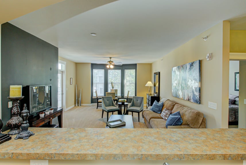 Living room in Indianapolis apartment